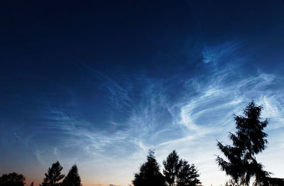 Low angle view of trees against sky