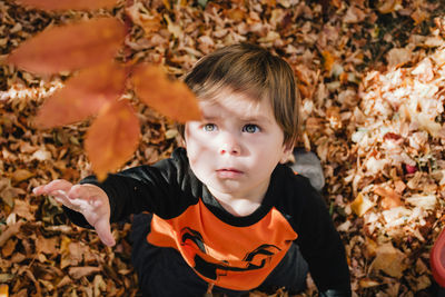 Portrait of cute boy with leaves during autumn