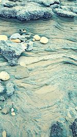Close-up of water on landscape