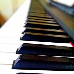 Close-up of piano keys