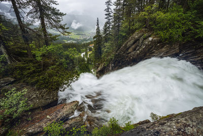 Scenic view of waterfall in forest