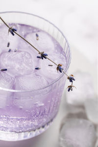 Summer non-alcoholic cocktail close-up in purple color with lavender sprigs, ice and sparkling water