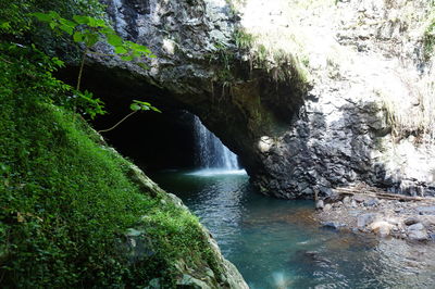 Scenic view of waterfall in forest