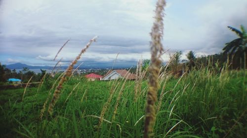 Scenic view of grassy field against cloudy sky