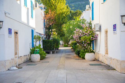 Alley amidst buildings in town