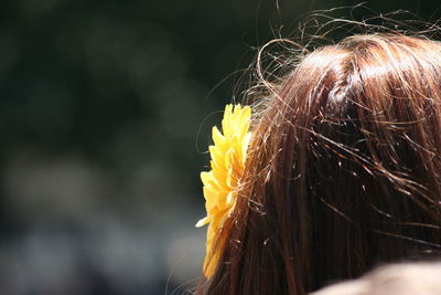 Close up of yellow flower