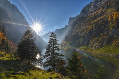 Sunlight streaming through trees on mountain against sky