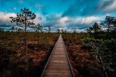 Dirt road along plants and trees against sky