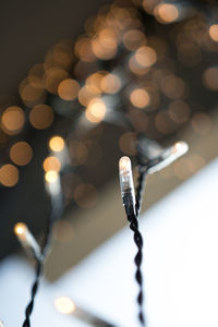 Close-up of illuminated christmas lights