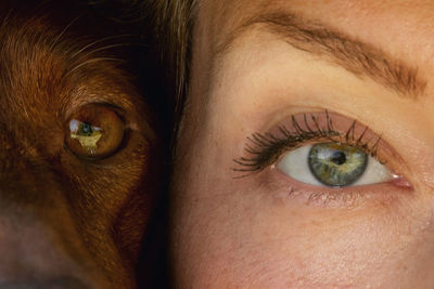 Close-up portrait of human eye