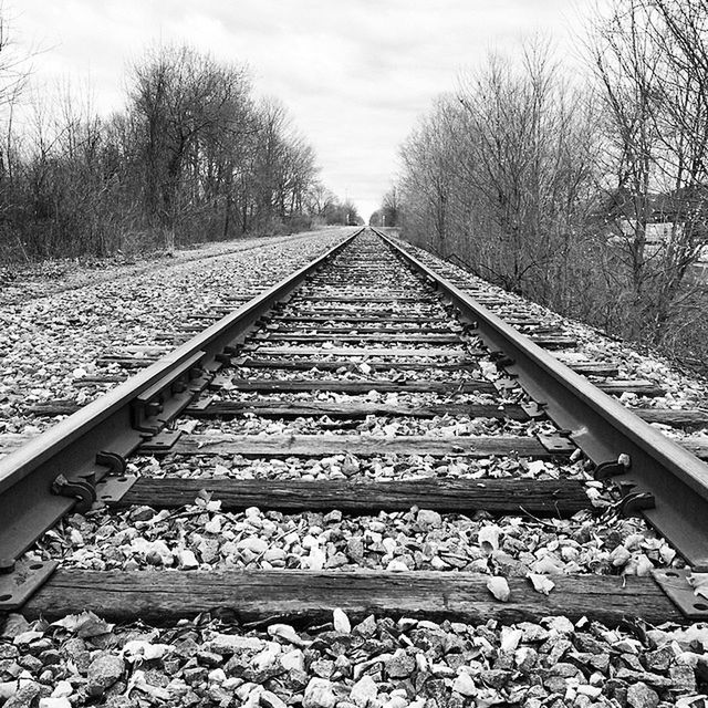 railroad track, transportation, rail transportation, the way forward, diminishing perspective, vanishing point, tree, sky, railway track, stone - object, straight, gravel, day, metal, public transportation, surface level, long, no people, nature, tranquility