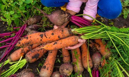 High angle view of vegetables for sale at market stall