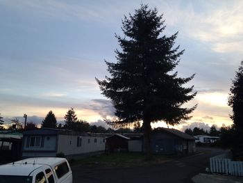 View of trees at sunset