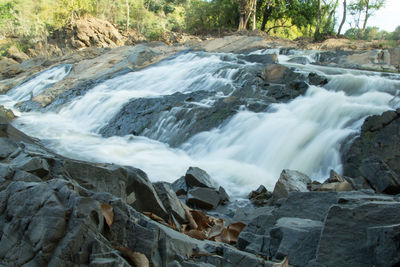 Scenic view of waterfall in forest