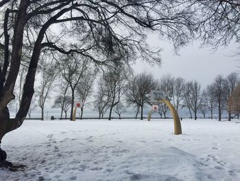 Trees on snow covered landscape