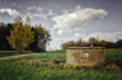 Trees on field against sky