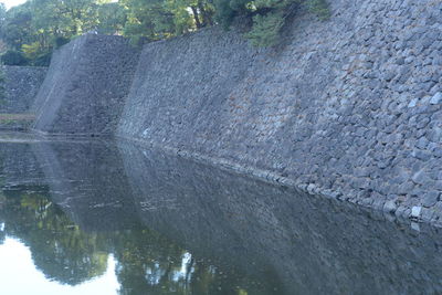 Reflection of trees in water