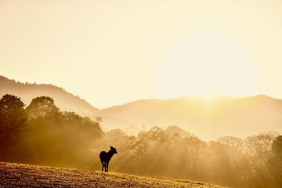 Full length of man on mountain against sky