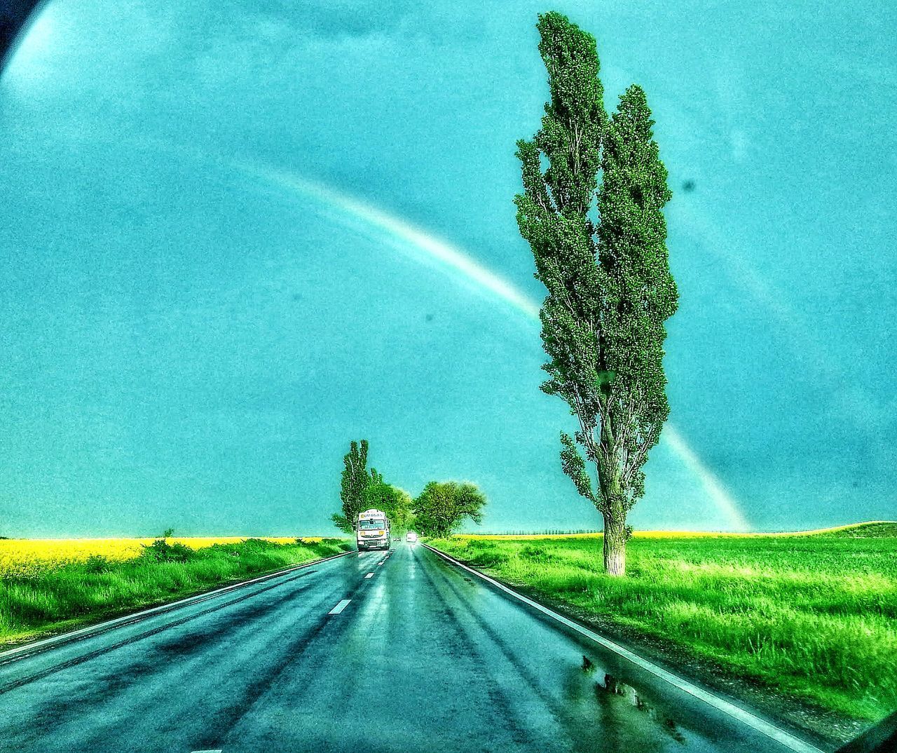 ROAD AMIDST TREES