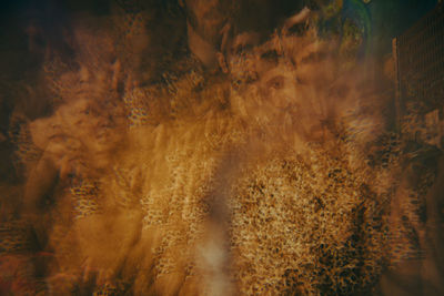 Multiple exposure of young male and female friends at illuminated restaurant