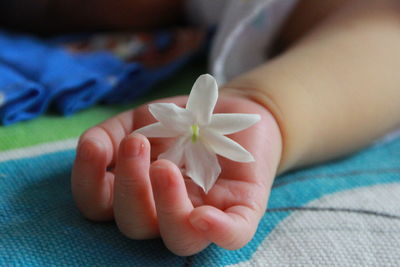 High angle view of flower on baby hand sleeping on bed