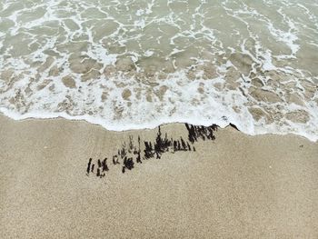 High angle view of text on beach