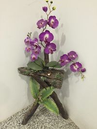 Close-up of flowers against wall