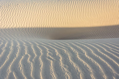 Scenic view of sand dune
