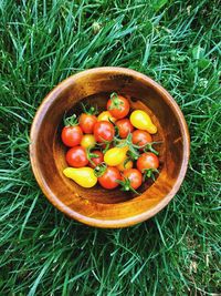 High angle view of tomatoes in bowl