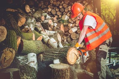 Male worker cutting logs in forest