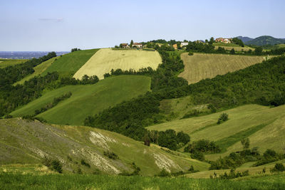 Scenic view of agricultural field against sky