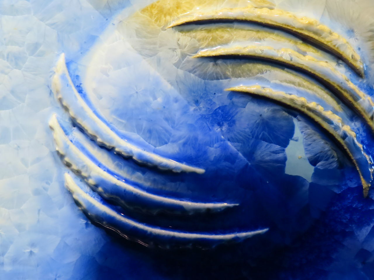 HIGH ANGLE VIEW OF FISH AND ICE IN CONTAINER