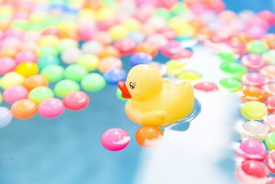 Close-up of yellow toys in water