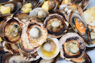 Stack of grilled scallops and mussels with butter on plate for family barbecue seafood party.