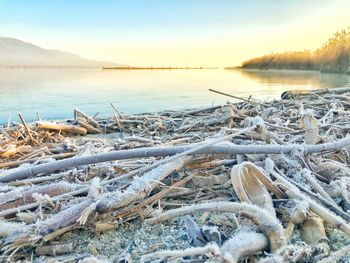 Scenic view of frozen lake against sky