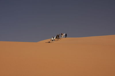 People riding in desert against clear sky