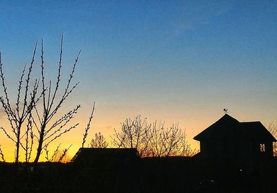 Low angle view of silhouette tree and building against sky