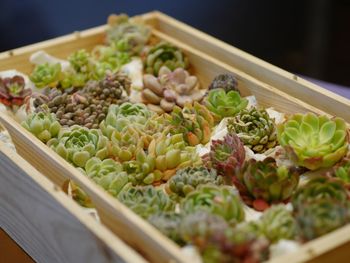 High angle view of chopped vegetables in container