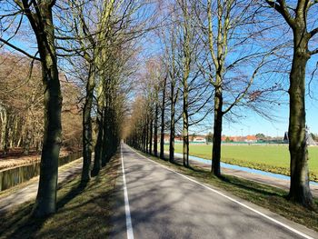 Empty road amidst trees against sky