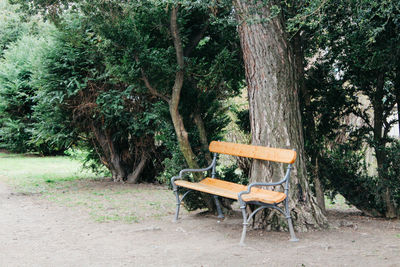 Bench in park