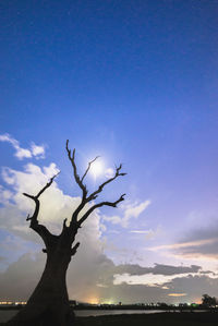 Low angle view of silhouette bare tree against blue sky