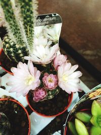 Close-up of flower bouquet