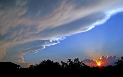 Low angle view of silhouette trees against dramatic sky