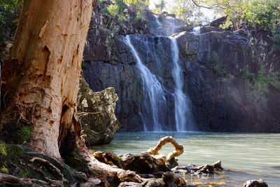 Scenic view of waterfall