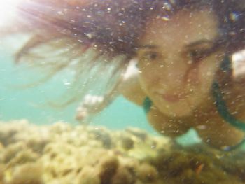 Close-up of jellyfish swimming in sea