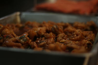 Close-up of meat in plate