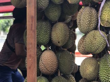 Full frame shot of succulent plant in market