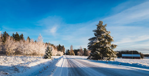 Snowy road amidst trees against sky