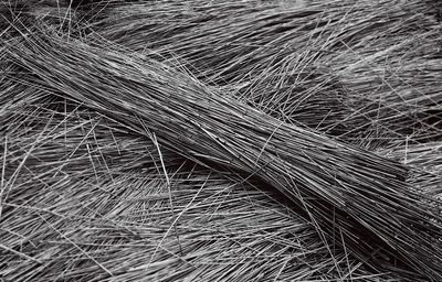 Full frame shot of grass