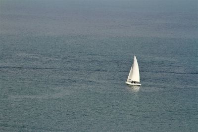 Sailboat sailing in sea